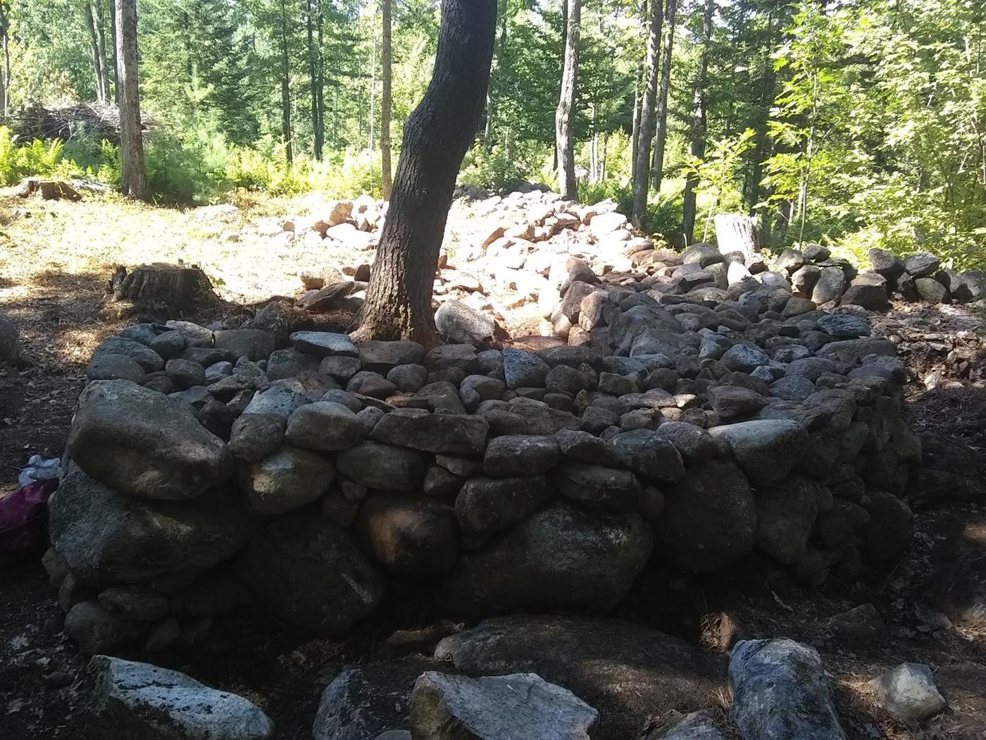 Boulder wall built around a tree